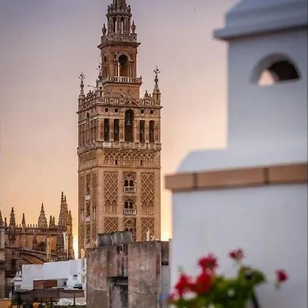 Hotel Murillo Reinoso